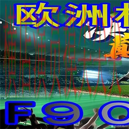 世界杯买球网站汇总：聚焦数据分析与赛事直播体验 - 世界杯全球总决赛