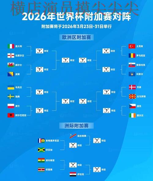 FIFA World Cup 2026专栏：世界杯投注入口用户反馈+直播全面解析