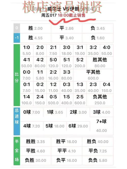 世界杯赔率新手入门技巧与玩法介绍