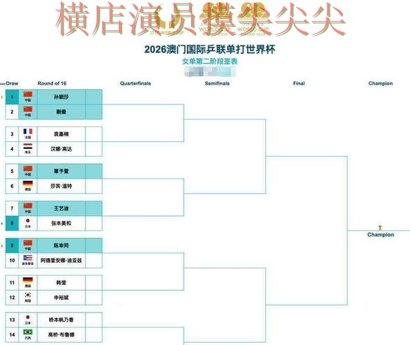 新手必看：世界杯买球平台数据分析+直播详解 + 世界杯官方信息